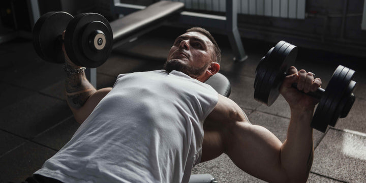 Maximize-Gains-The-Importance-of-Chest-Day - Xlerrate Fitness